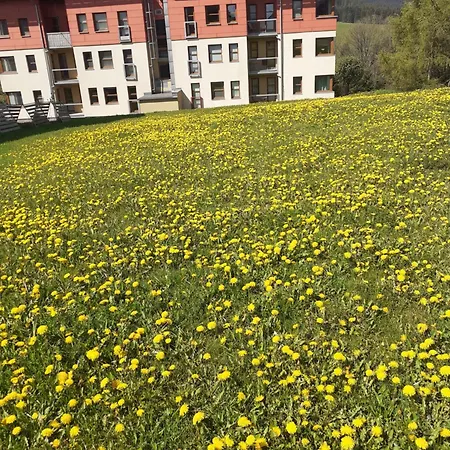 Salomon Apartment