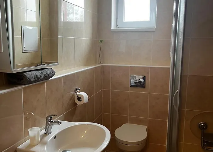 Apartman Salomon Loučná pod Klínovcem